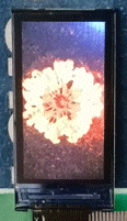 1702541002222527.gif 3.gif