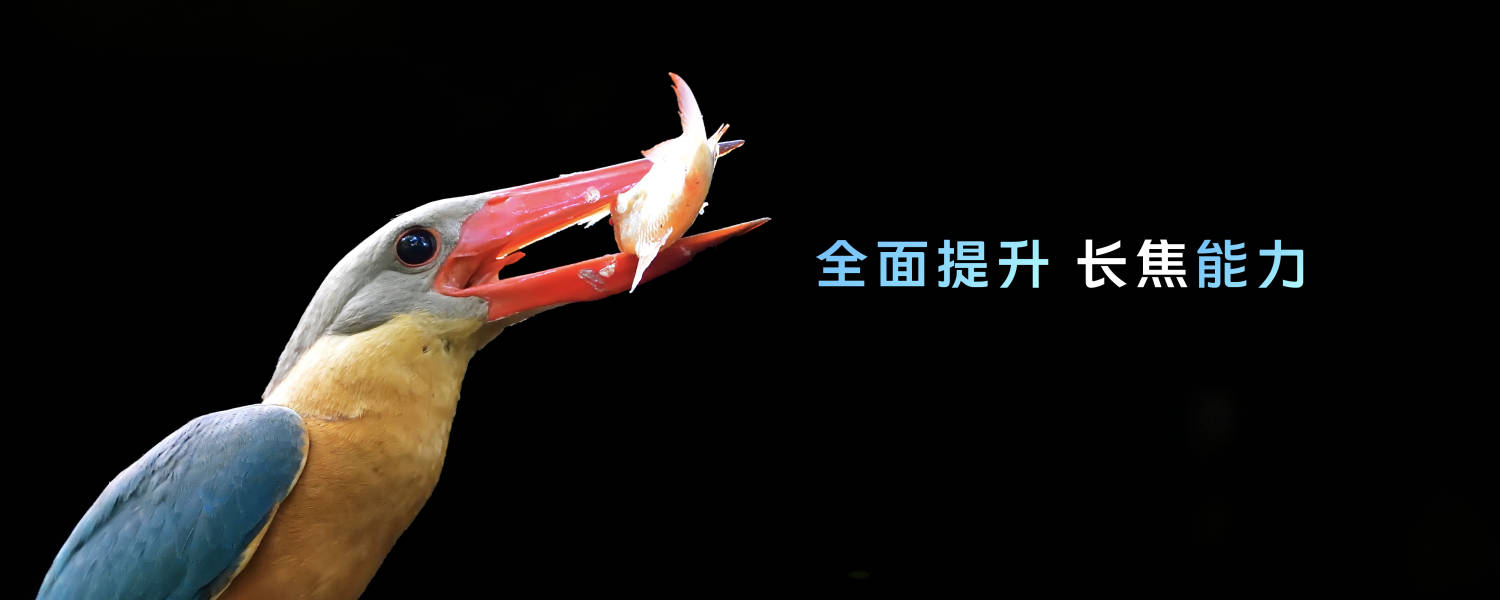 YzjjnHWFsK.jpeg